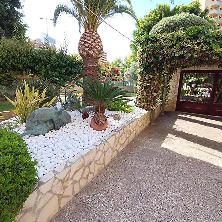 Mobydick 5 Benidorm